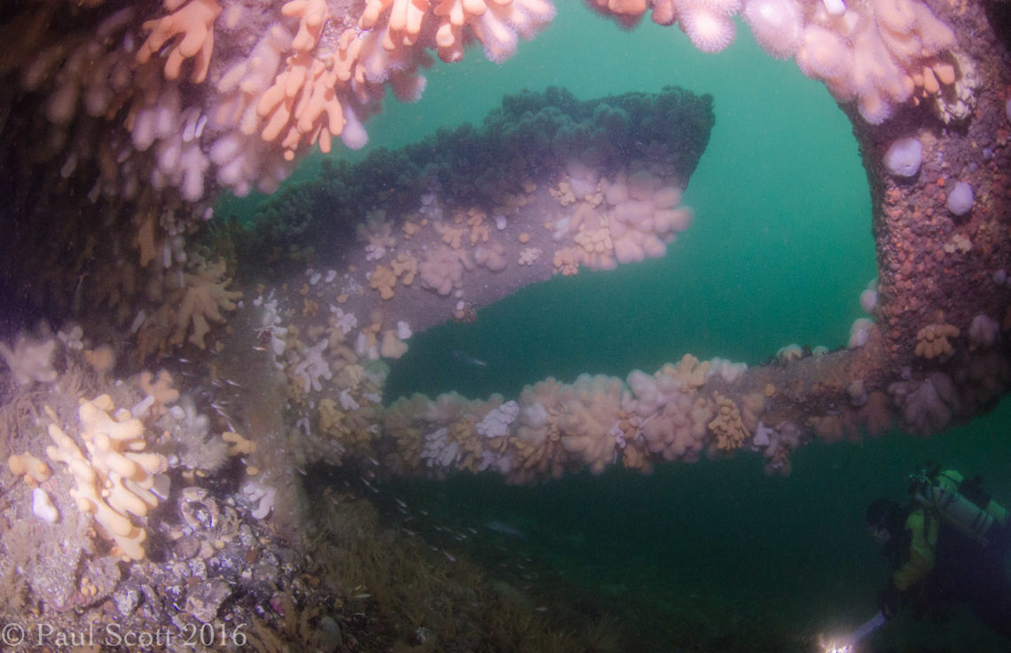 Rudder of the Chadwick Wreck
